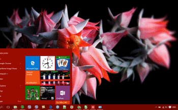 Flowers screenshot