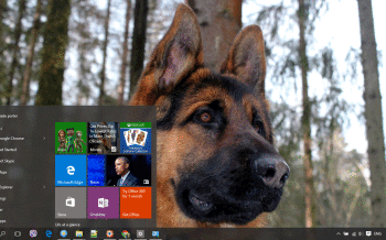 German Shepherd screenshot