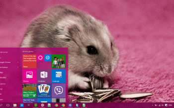 Hamster screenshot