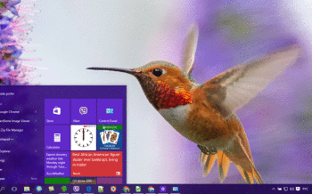 Hummingbird screenshot