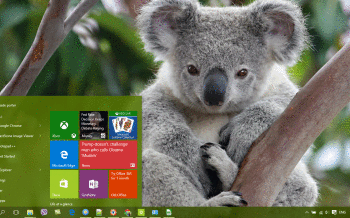 Koala screenshot