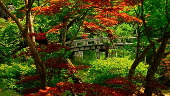 Kyoto screenshot
