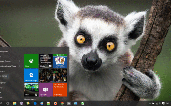 Lemur screenshot
