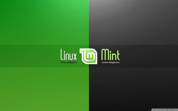 Linux Mint screenshot 10