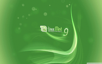 Linux Mint screenshot 11