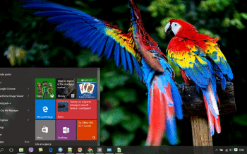 Macaw screenshot