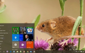 Mouse screenshot