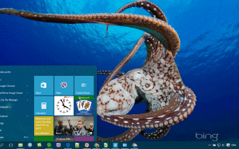 Octopus screenshot