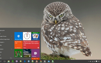 Owl screenshot