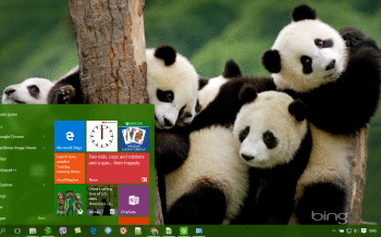 Panda screenshot