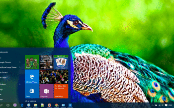 Peacock screenshot
