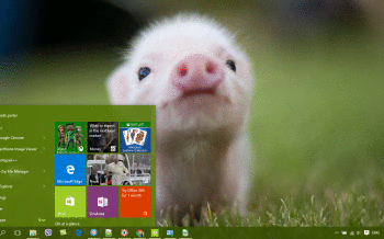 Pig screenshot