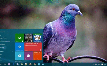 Pigeon screenshot