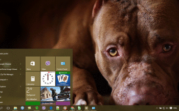 Pitbull screenshot