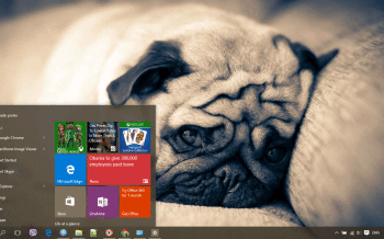 Pug screenshot