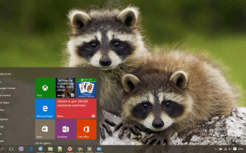 Raccoon screenshot