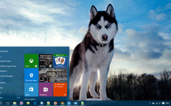 Siberian Husky screenshot