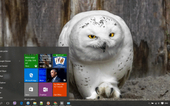 Snowy Owl screenshot