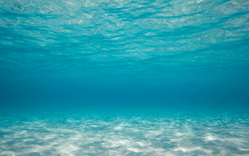 Underwater screenshot 10