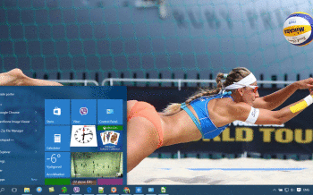 Volleyball screenshot