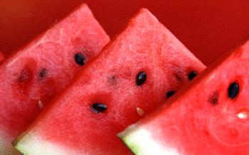 Watermelon screenshot 10