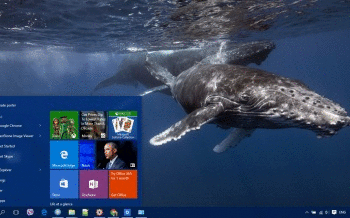 Whale screenshot