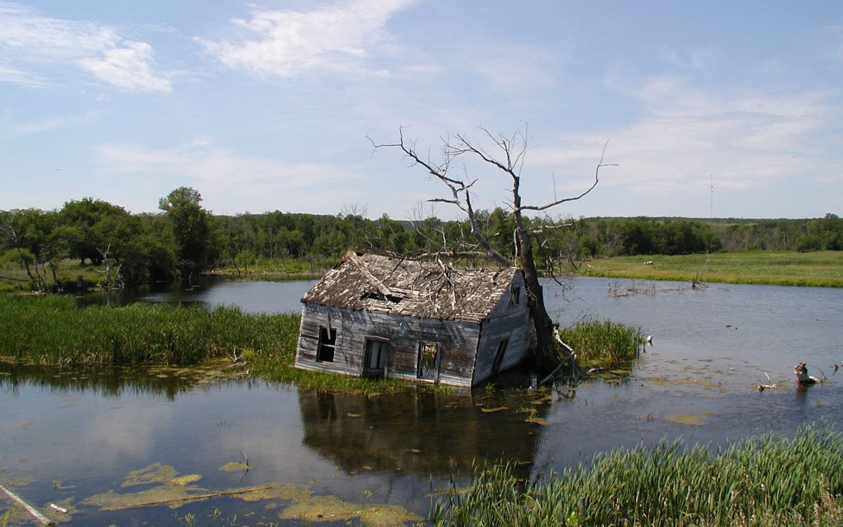 Купить дом болото