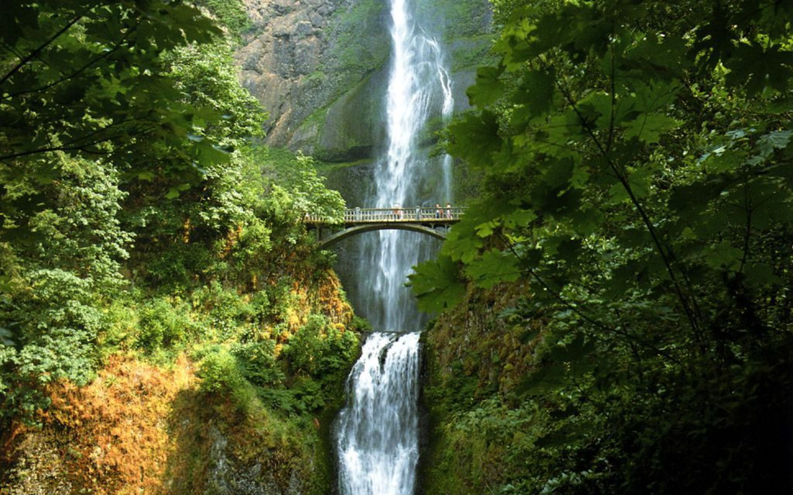 Great Falls Mt Escorts