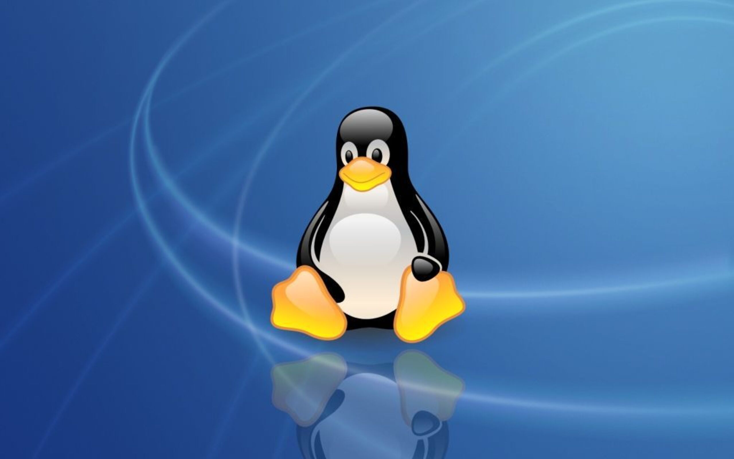 Linux операционная система файл. Операционные системы линукс. Дистрибутивы ОС Linux. Linux Операционная система Интерфейс 1991. Юникс линукс.