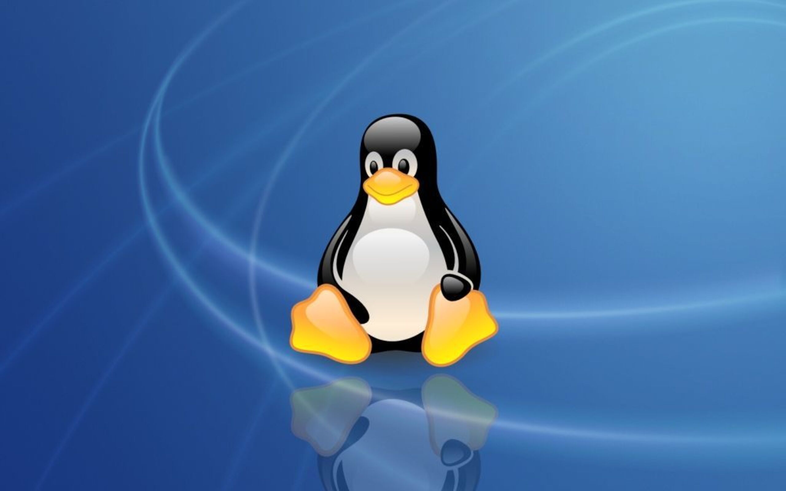 Linux 6.8