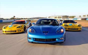 2010 Corvette Racing Sebring Cars screenshot