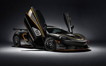 2016 McLaren 570S GT4 screenshot