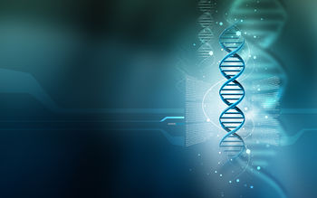 3D DNA screenshot