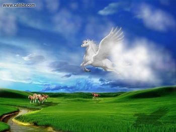 3D Pegasus screenshot