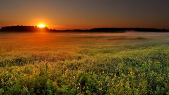 A Beautiful Sunset screenshot