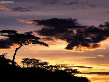 A New Beginning Tanzania Africa screenshot