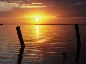 A New Day Begins Everglades National Park Florida screenshot