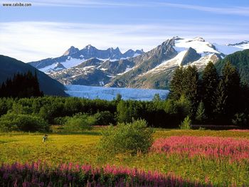 A Photographers Canvas Mendenhall Glacier Alaska screenshot