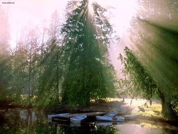 A Promising Morning Seabeck Washington screenshot