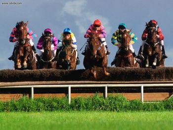 A Race To The Finish Steeplechase screenshot