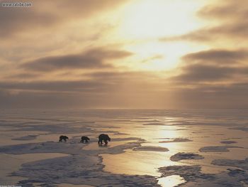 A Walk Towards Heaven screenshot