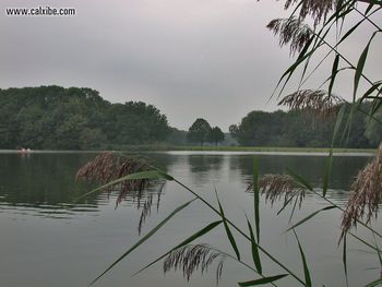 Abkvrietbcopy screenshot