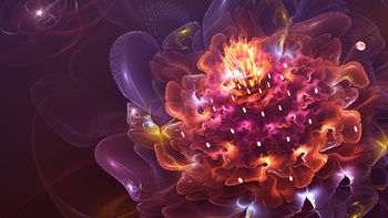 Abstract Flower screenshot