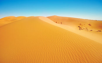 African Desert screenshot