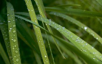 After Rain screenshot