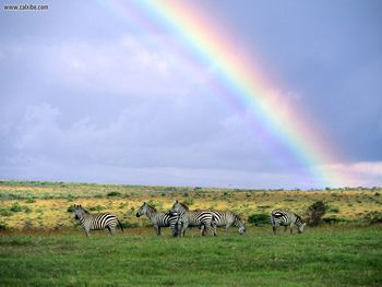 After The Storm Kenya Africa screenshot