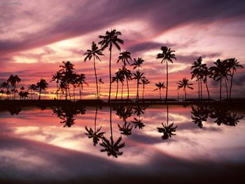 Ala Moana Beach Park, Honolulu, Oahu, Hawaii screenshot