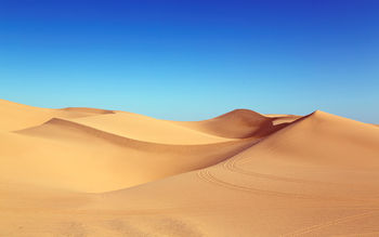 Algodones Dunes HD 5K screenshot