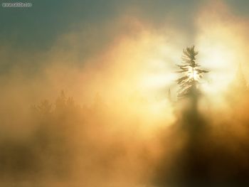 Algonquin Provincial Park Ontario Canada screenshot