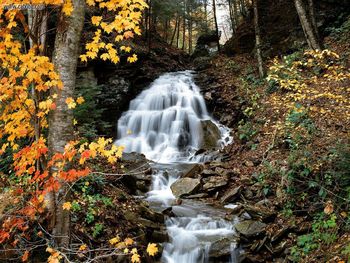 Allegheny Mountains Pennsylvania screenshot